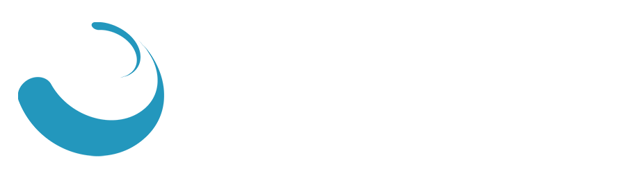 The BDS Agency, LLC